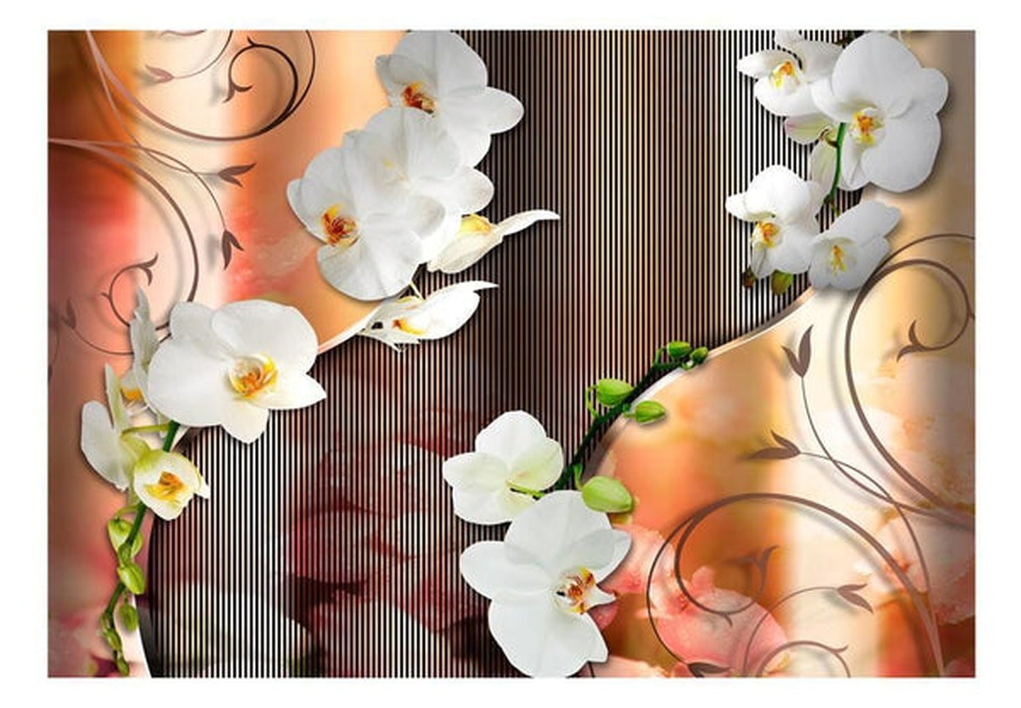 Wall mural - Orchid-TipTopHomeDecor
