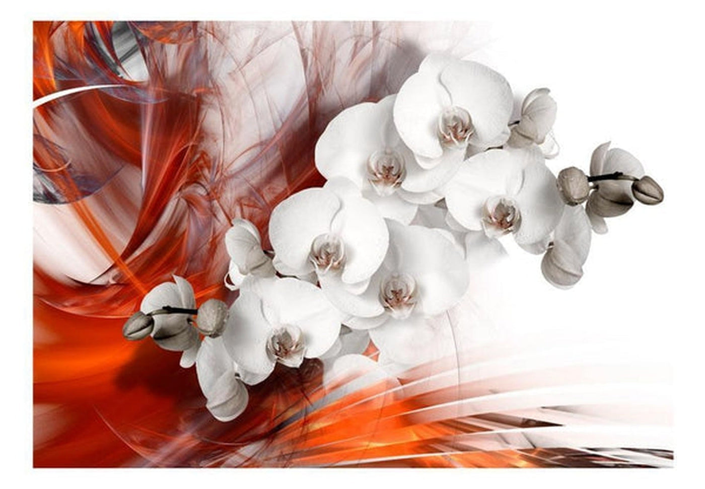 Wall mural - Orchid on fire II-TipTopHomeDecor