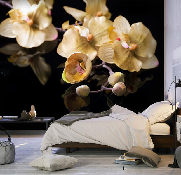Wall mural - Orchids in ecru color-TipTopHomeDecor
