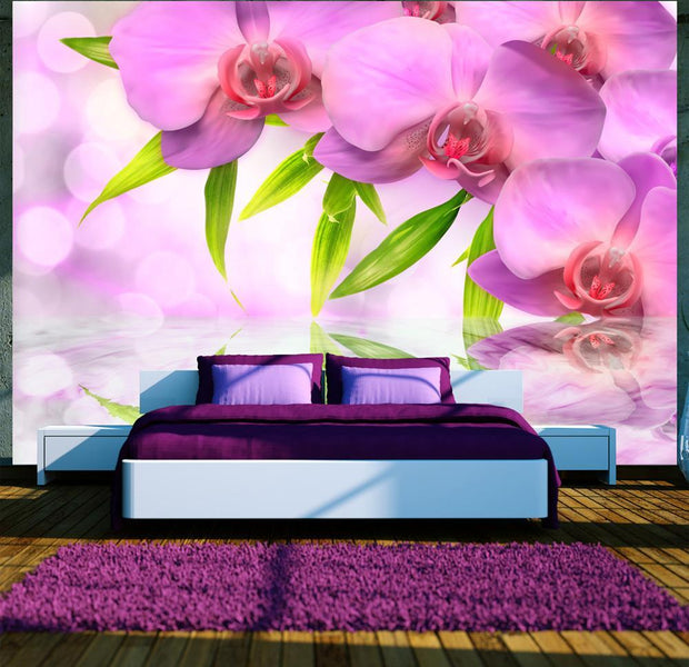 Wall mural - Orchids in lilac colour-TipTopHomeDecor