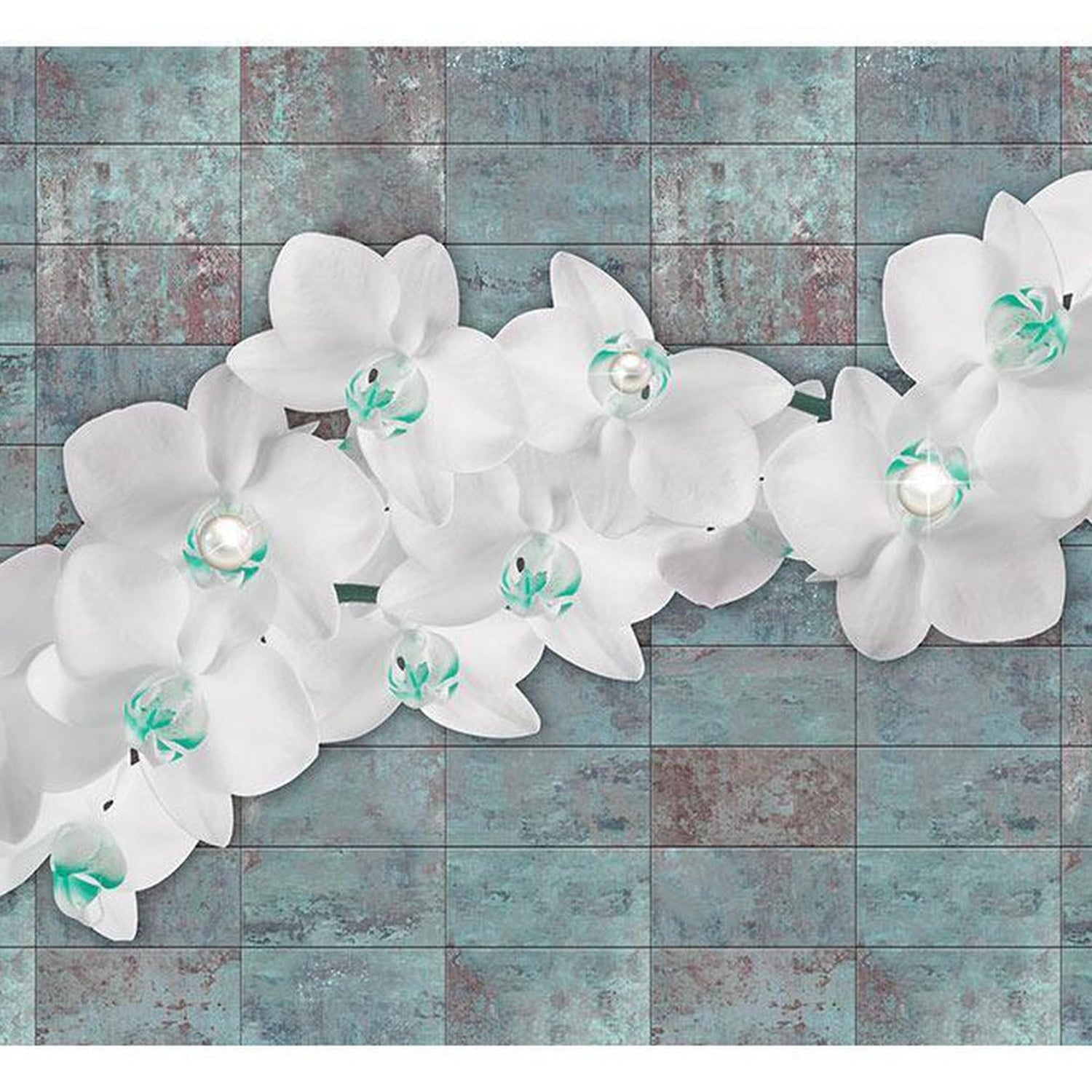 Wall mural - Orchids with pearls-TipTopHomeDecor