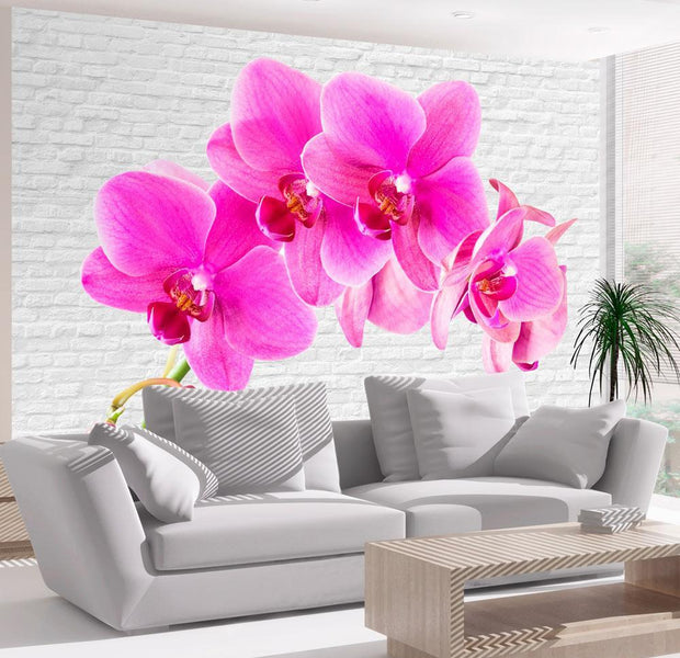 Wall mural - Pink excitation-TipTopHomeDecor