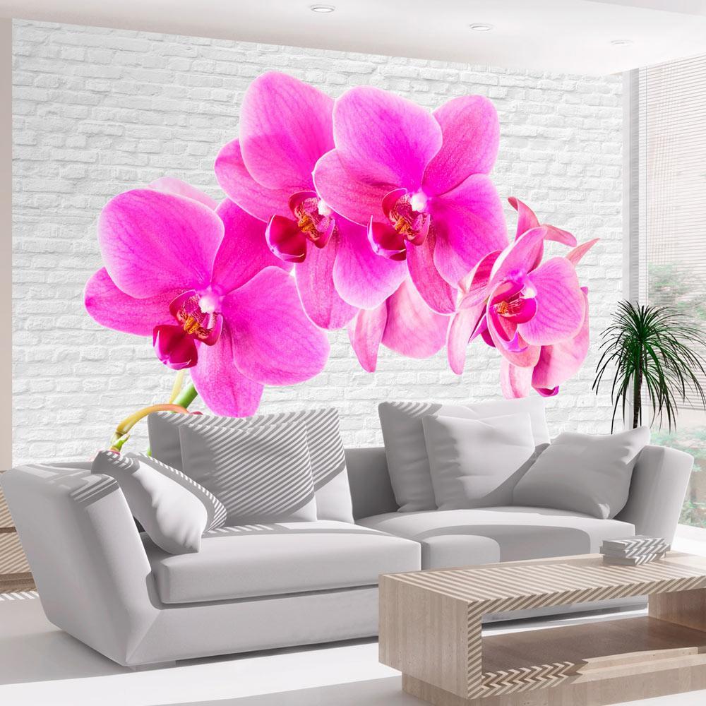 Wall mural - Pink excitation-TipTopHomeDecor