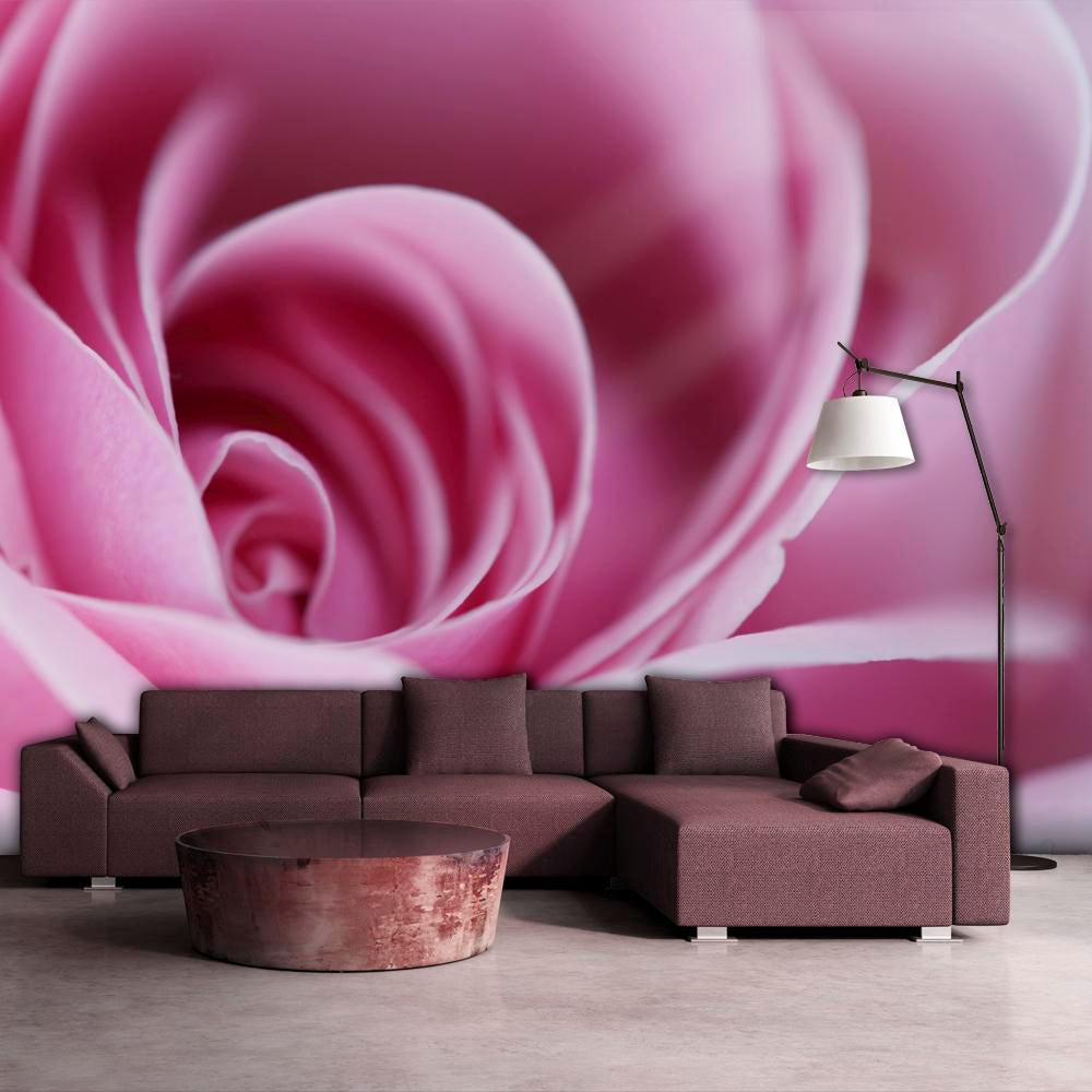 Wall mural - Pink rose-TipTopHomeDecor