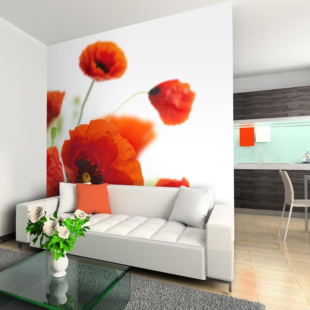 Wall mural - Poppies on the wihite background-TipTopHomeDecor