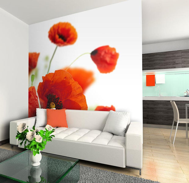 Wall mural - Poppies on the wihite background-TipTopHomeDecor