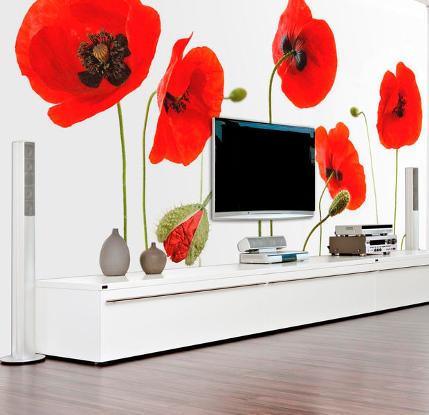 Wall mural - Red poppies, summertime reminiscence-TipTopHomeDecor