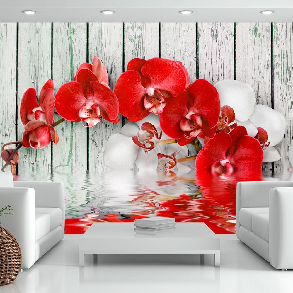 Wall mural - Ruby orchid-TipTopHomeDecor