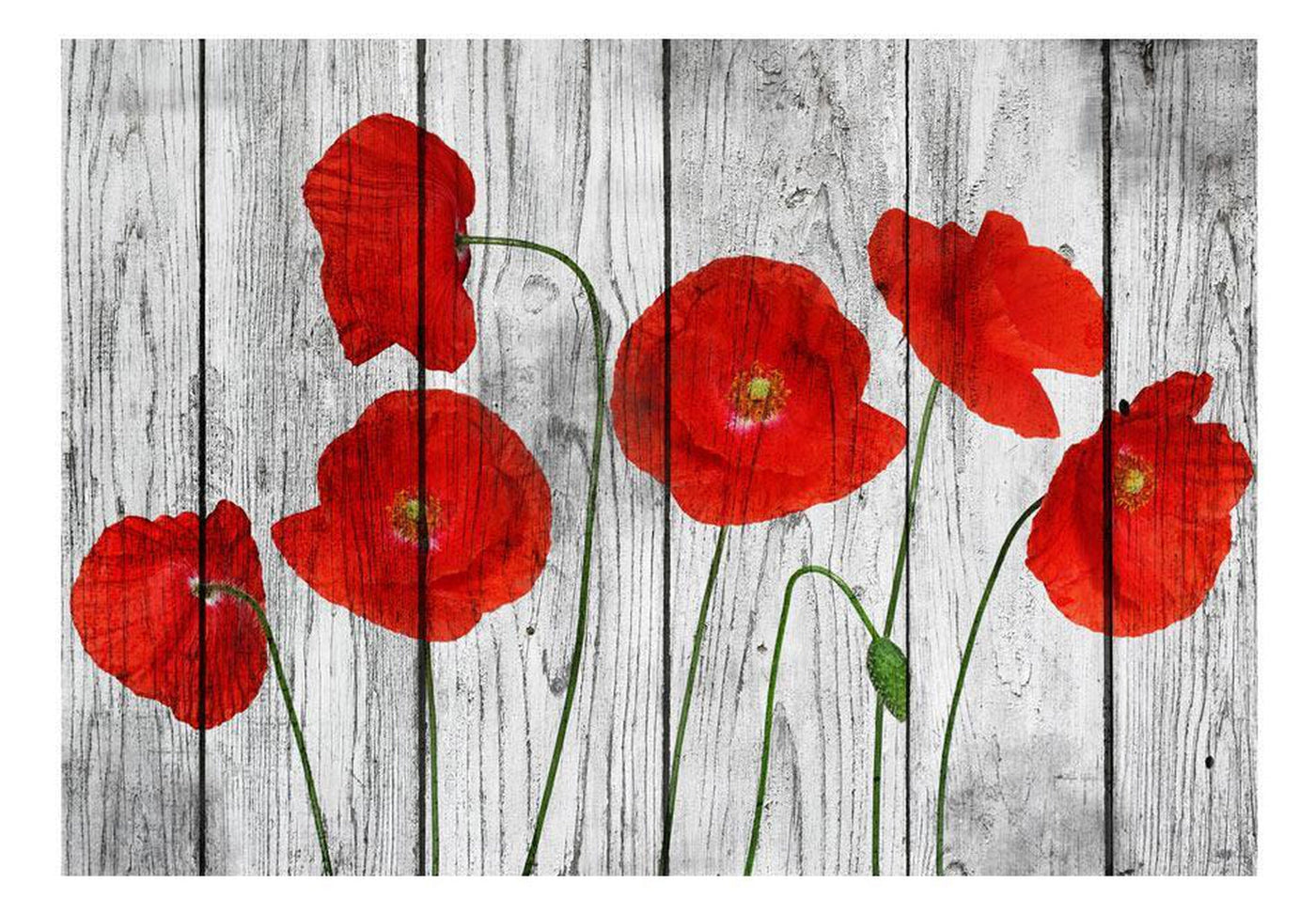 Wall mural - Tale of Red Poppies-TipTopHomeDecor