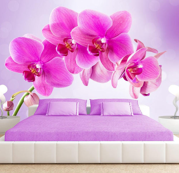 Wall mural - Thoughtfulness-TipTopHomeDecor