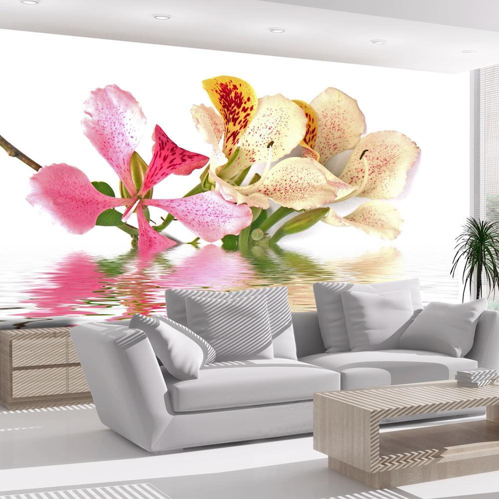 Wall mural - Tropical flowers - orchid tree (bauhinia)-TipTopHomeDecor