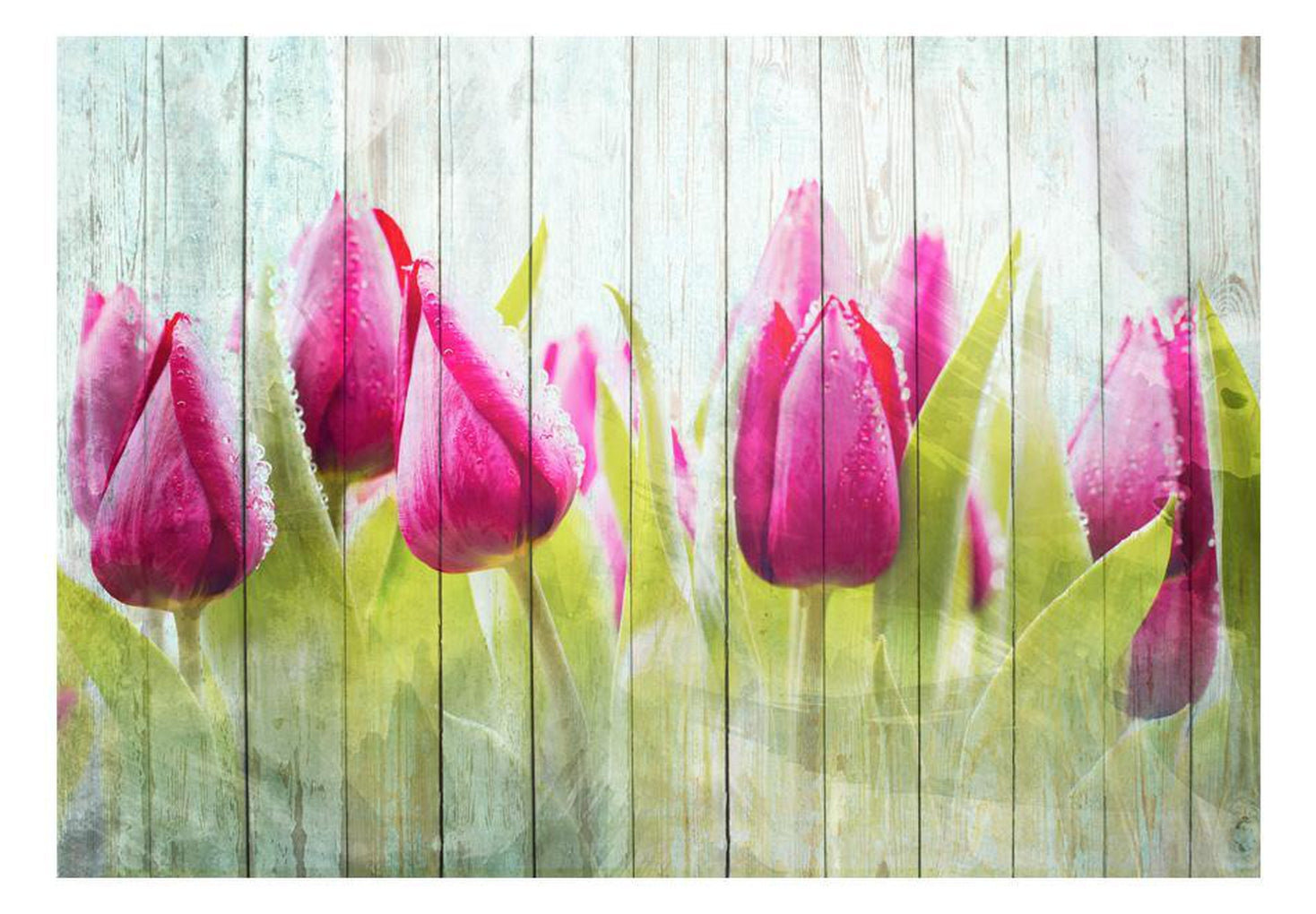 Wall mural - Tulips on white wood-TipTopHomeDecor