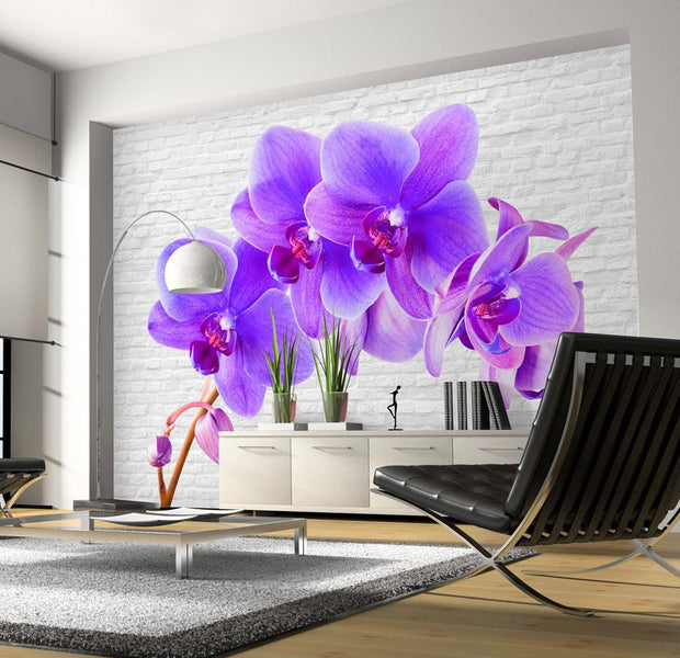 Wall mural - Violet excitation-TipTopHomeDecor