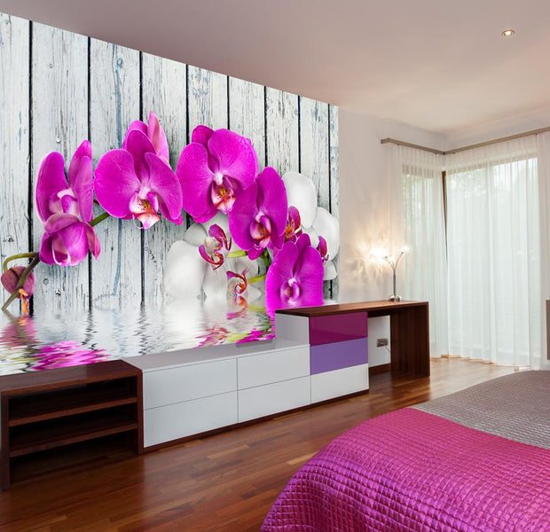 Wall mural - Violet orchids with water reflexion-TipTopHomeDecor