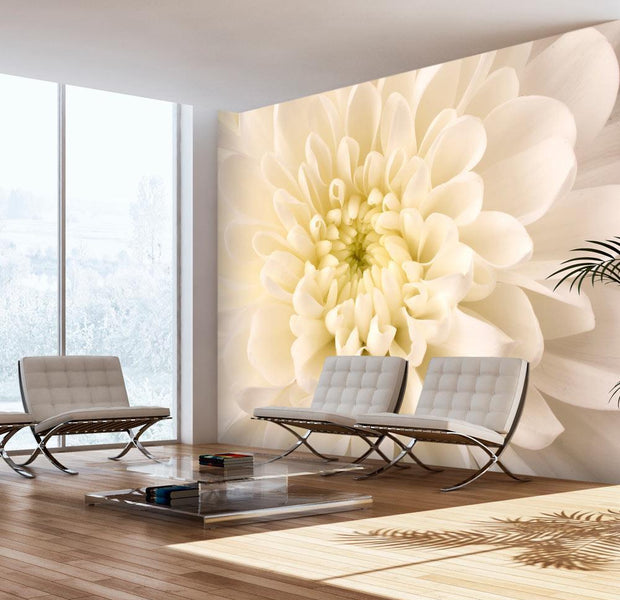 Wall mural - White dahlia-TipTopHomeDecor