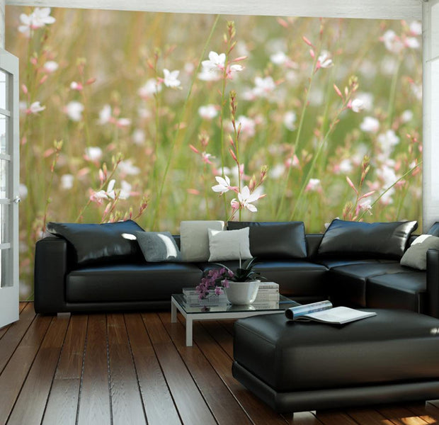 Wall mural - White delicate flowers-TipTopHomeDecor