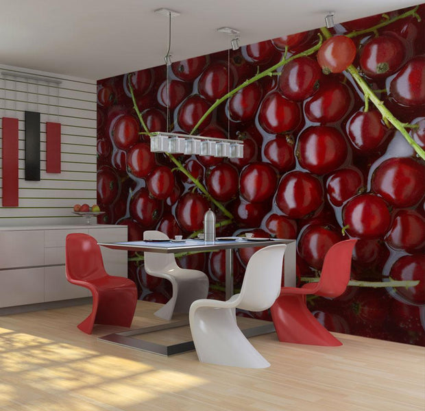 Wall mural - Redcurrants bathed in water-TipTopHomeDecor