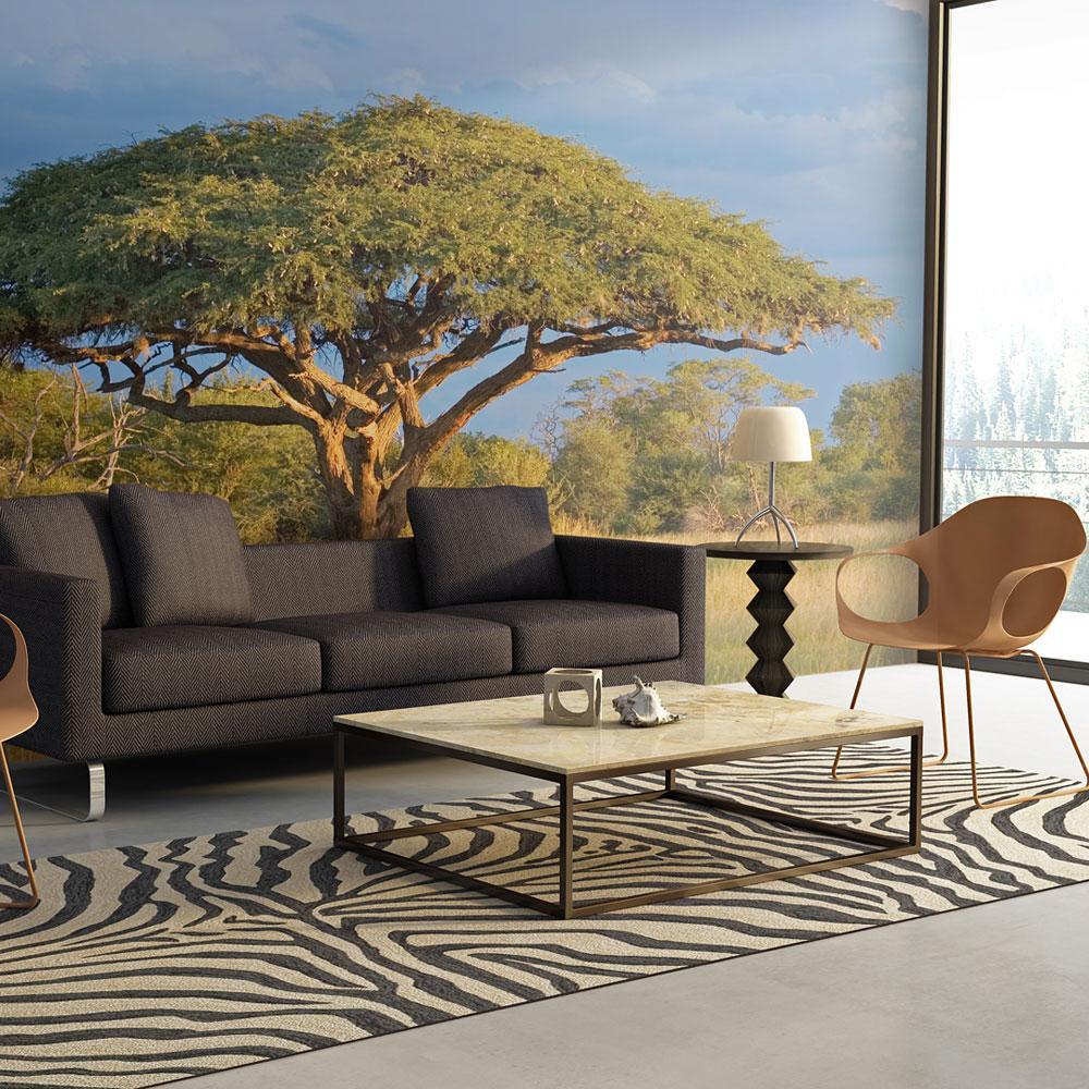 Wall mural - African acacia tree, Hwange National Park, Zimbabwe-TipTopHomeDecor