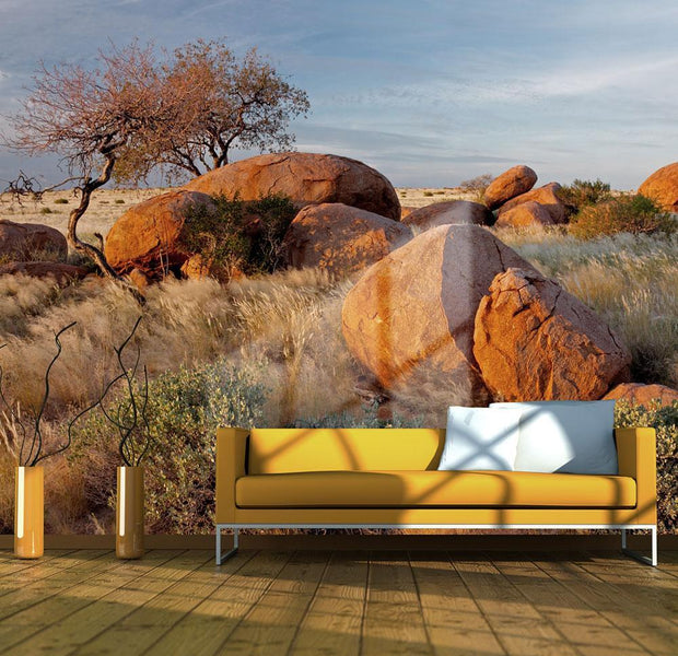 Wall mural - African landscape, Namibia-TipTopHomeDecor