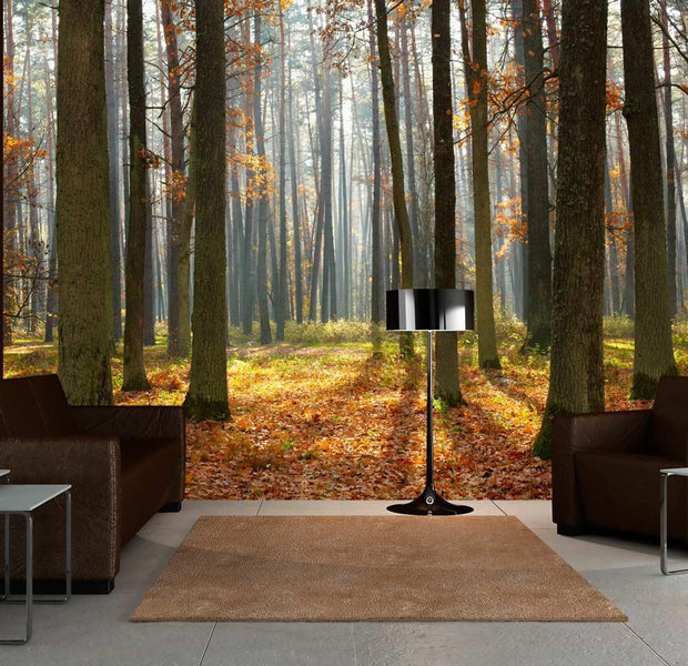 Wall mural - Autumn trees-TipTopHomeDecor