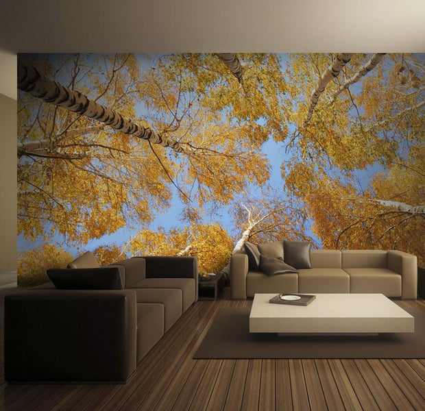 Wall mural - Autumnal treetops-TipTopHomeDecor