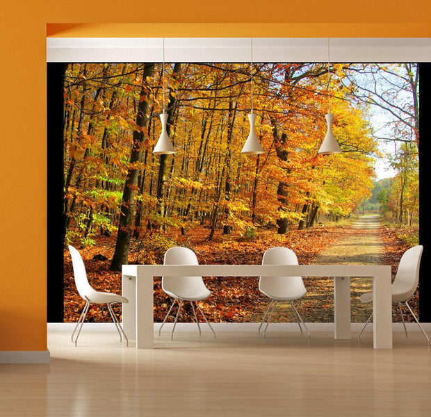 Wall mural - Beech forest-TipTopHomeDecor