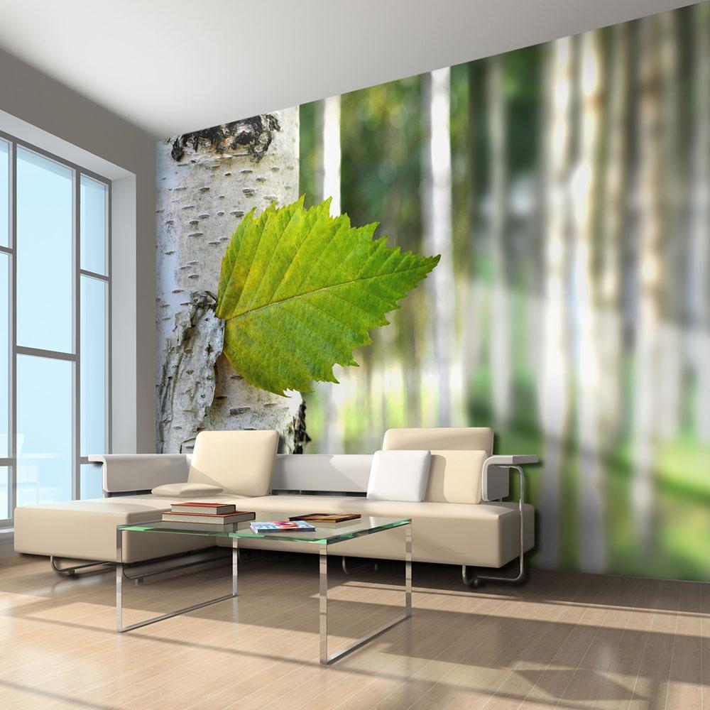 Wall mural - Birch leaf-TipTopHomeDecor