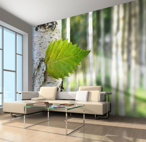 Wall mural - Birch leaf-TipTopHomeDecor