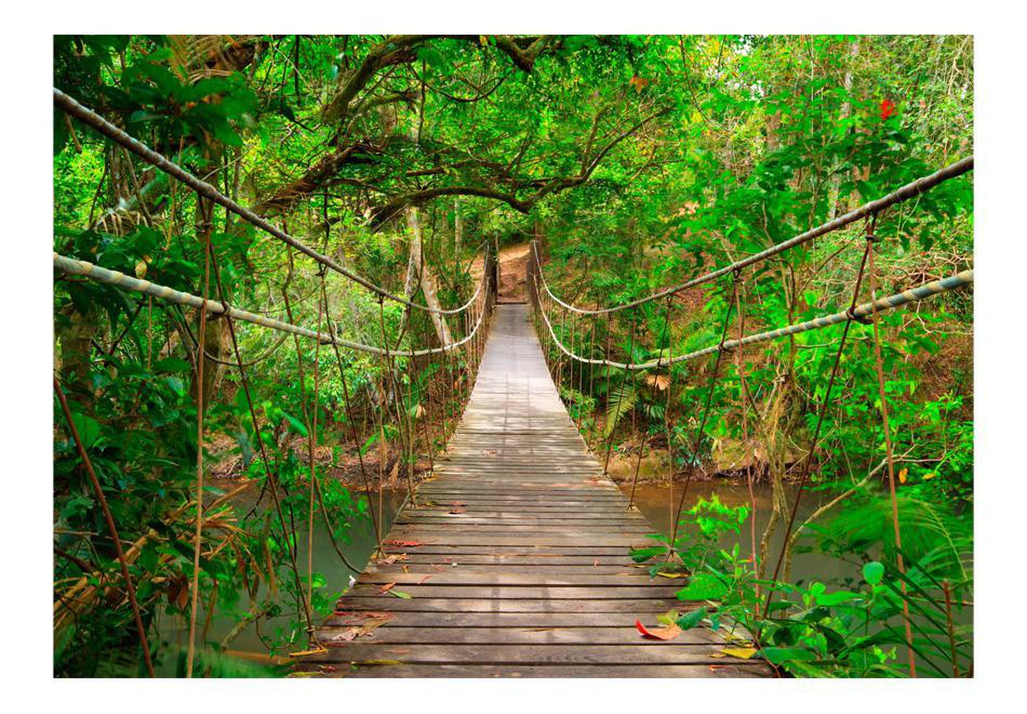 Wall mural - Bridge amid greenery-TipTopHomeDecor