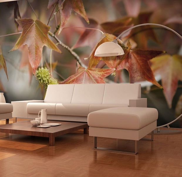 Wall mural - Chestnut-TipTopHomeDecor