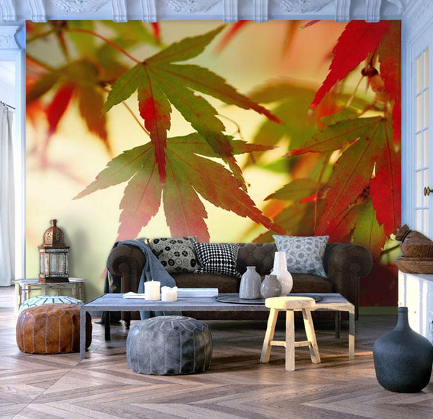 Wall mural - Colourful leaves-TipTopHomeDecor