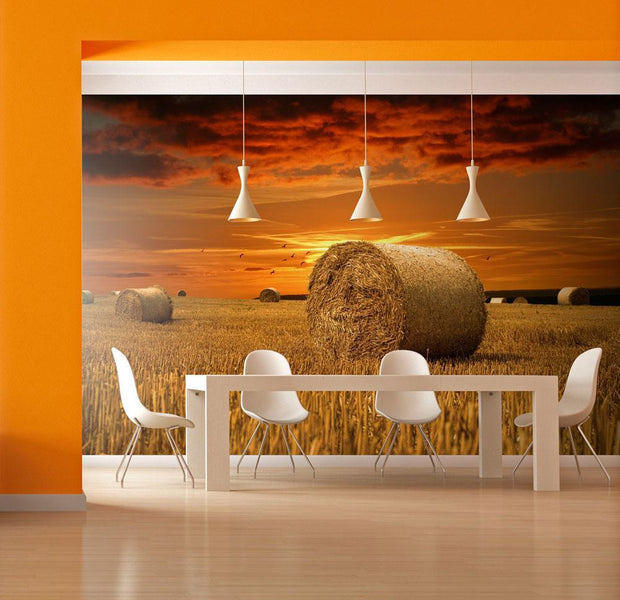 Wall mural - Fields of gold-TipTopHomeDecor