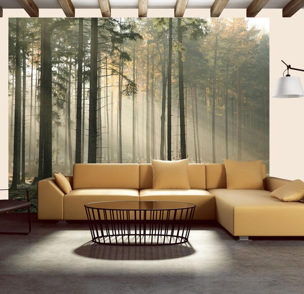 Wall mural - Foggy November morning-TipTopHomeDecor