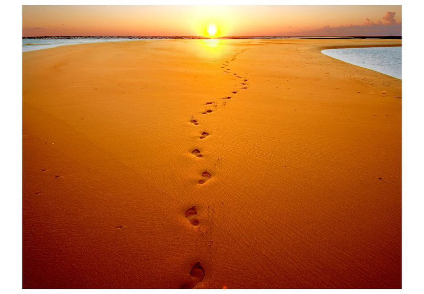 Wall mural - Footprints in the sand-TipTopHomeDecor