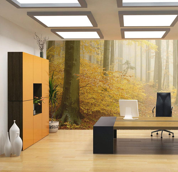 Wall mural - forest - autumn-TipTopHomeDecor