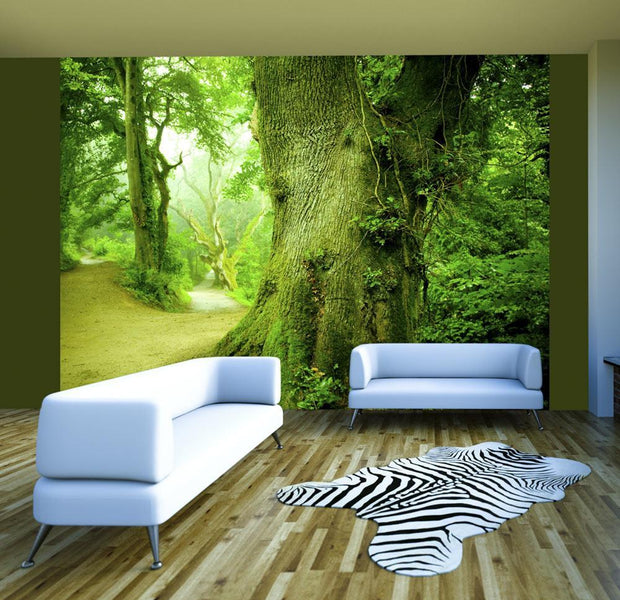 Wall mural - Forest pathway-TipTopHomeDecor