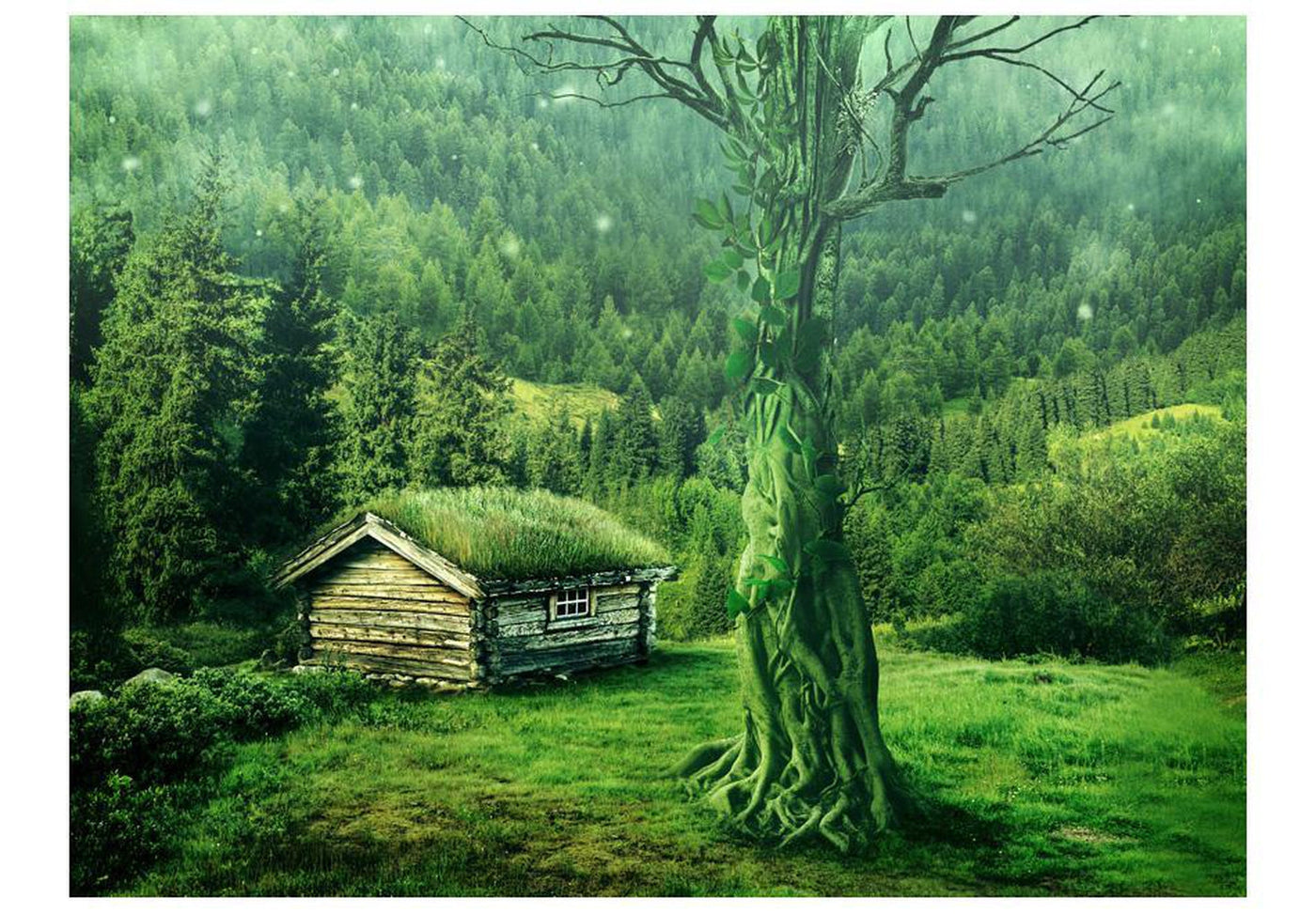 Wall mural - Green seclusion-TipTopHomeDecor