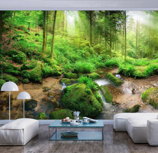 Wall mural - Humid Forest-TipTopHomeDecor