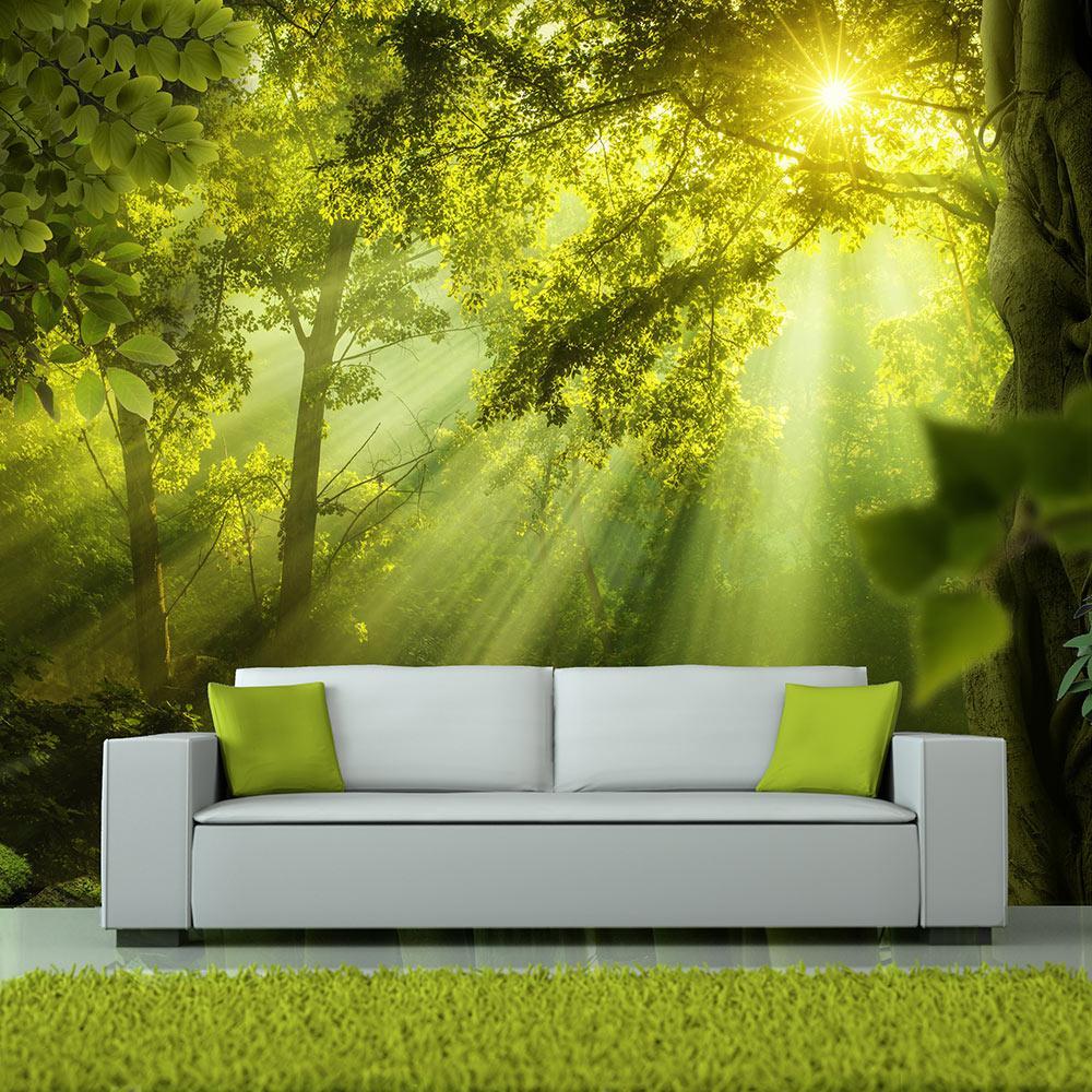 Wall mural - In a Secret Forest-TipTopHomeDecor