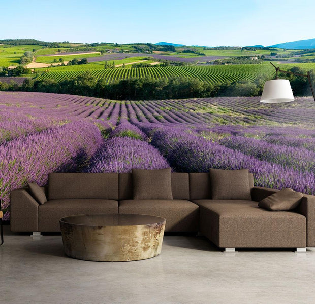 Wall mural - Lavender fields-TipTopHomeDecor