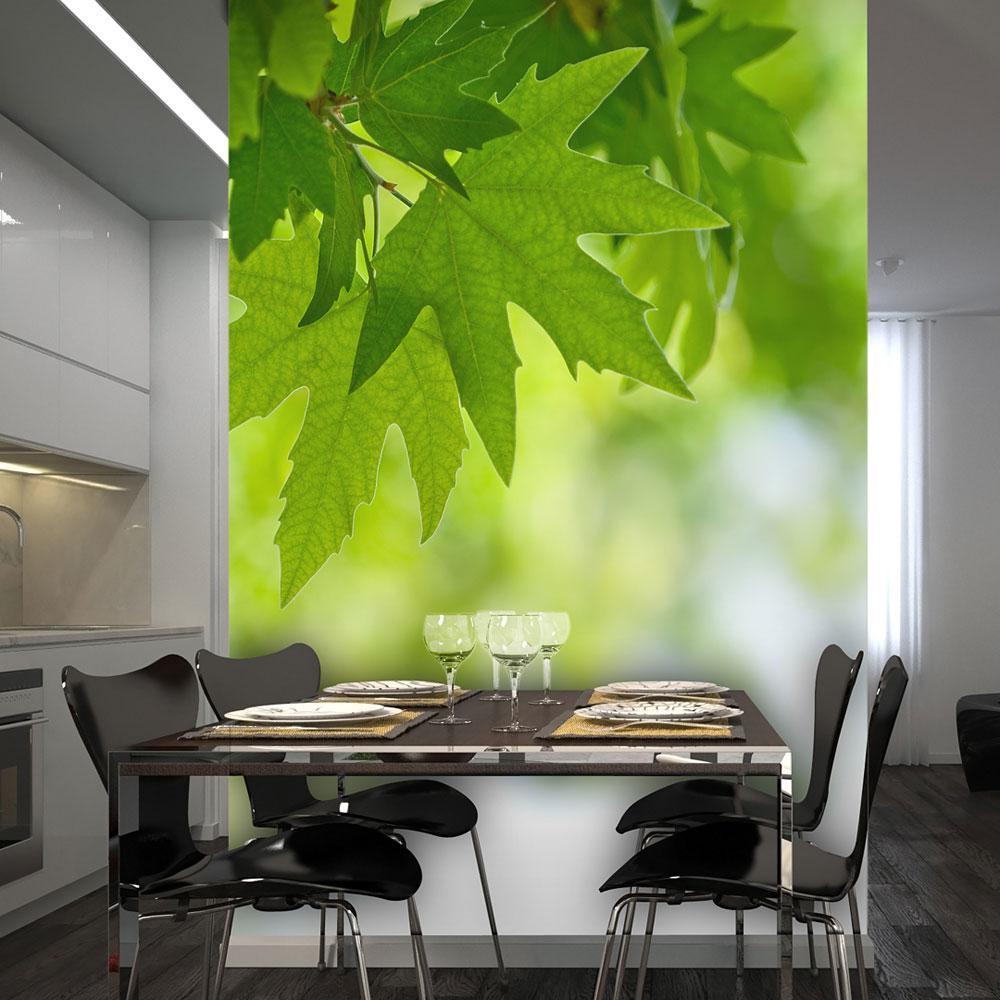 Wall mural - leaves (Shallow focus)-TipTopHomeDecor