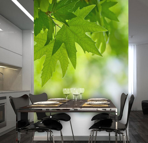 Wall mural - leaves (Shallow focus)-TipTopHomeDecor