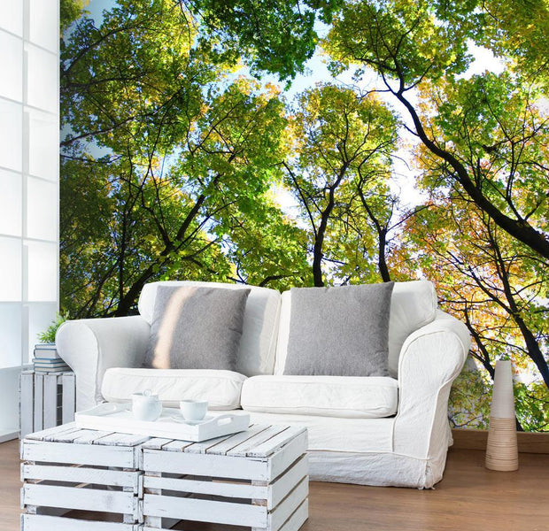 Wall mural - Looking up at the trees-TipTopHomeDecor