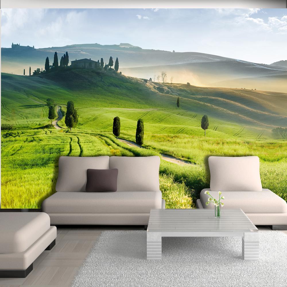 Wall mural - Morning in the countryside-TipTopHomeDecor