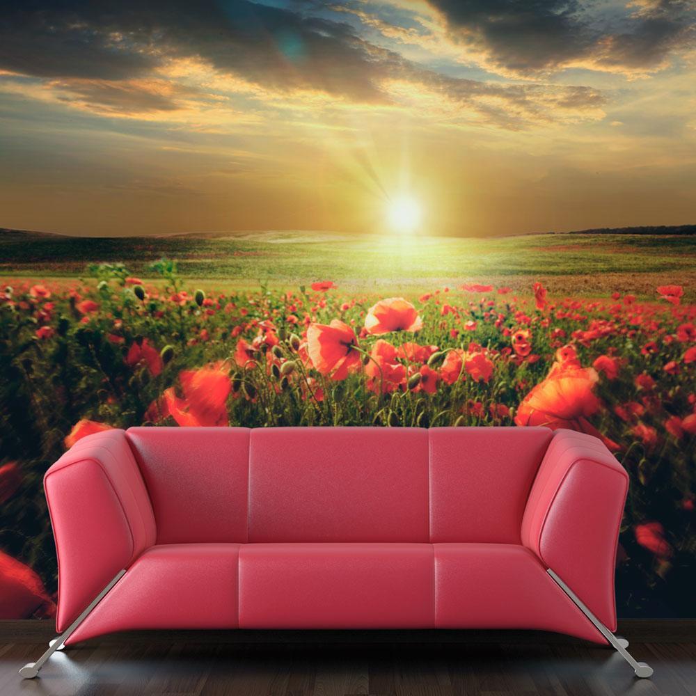 Wall mural - Morning on the poppy meadow-TipTopHomeDecor
