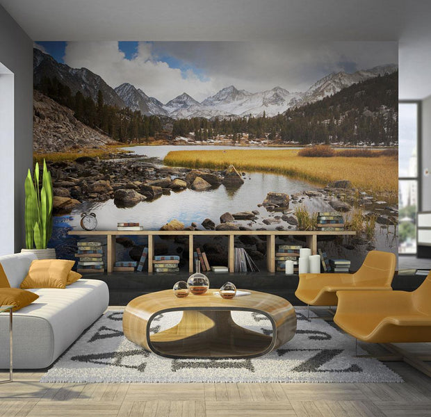 Wall mural - Mountain stream-TipTopHomeDecor