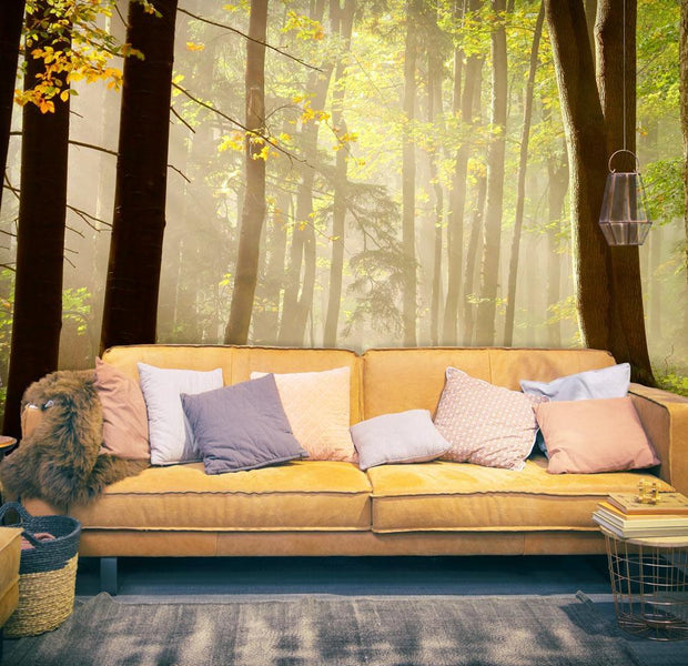 Wall mural - Mysterious forest path-TipTopHomeDecor