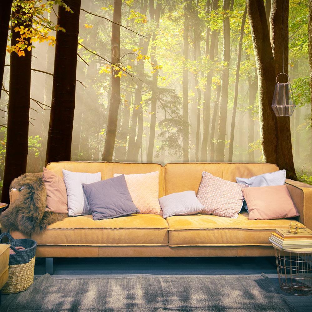 Wall mural - Mysterious forest path-TipTopHomeDecor