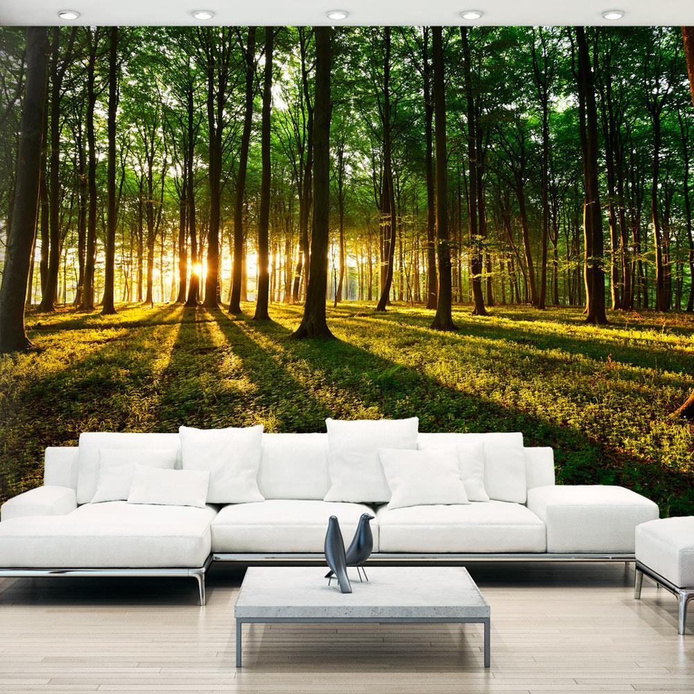 Wall mural - Mystical Morning-TipTopHomeDecor