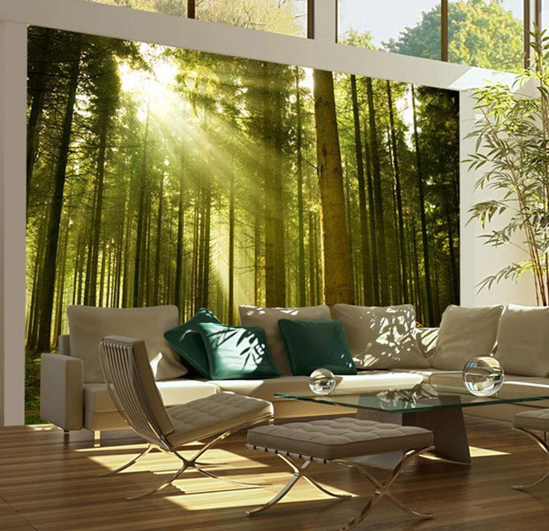 Wall mural - Pine forest-TipTopHomeDecor